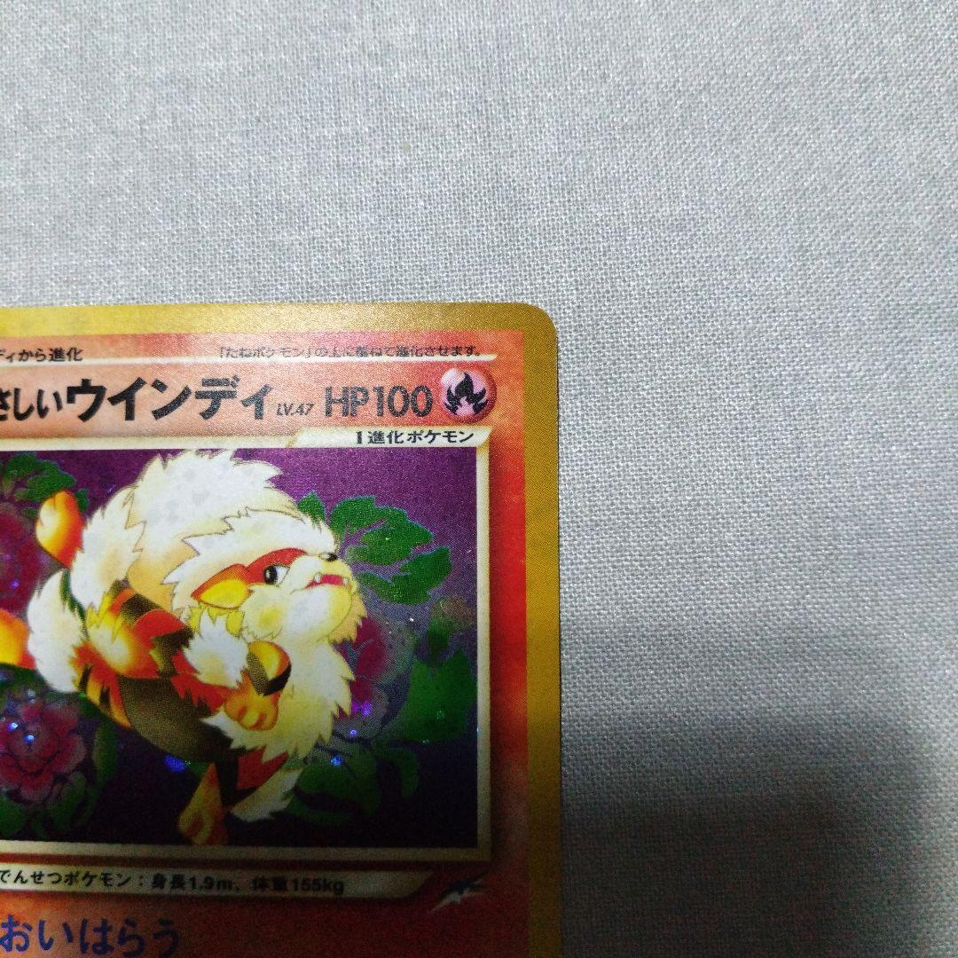 やさしいウインディ ★ 拡張パック第4弾 闇、そして光へ…