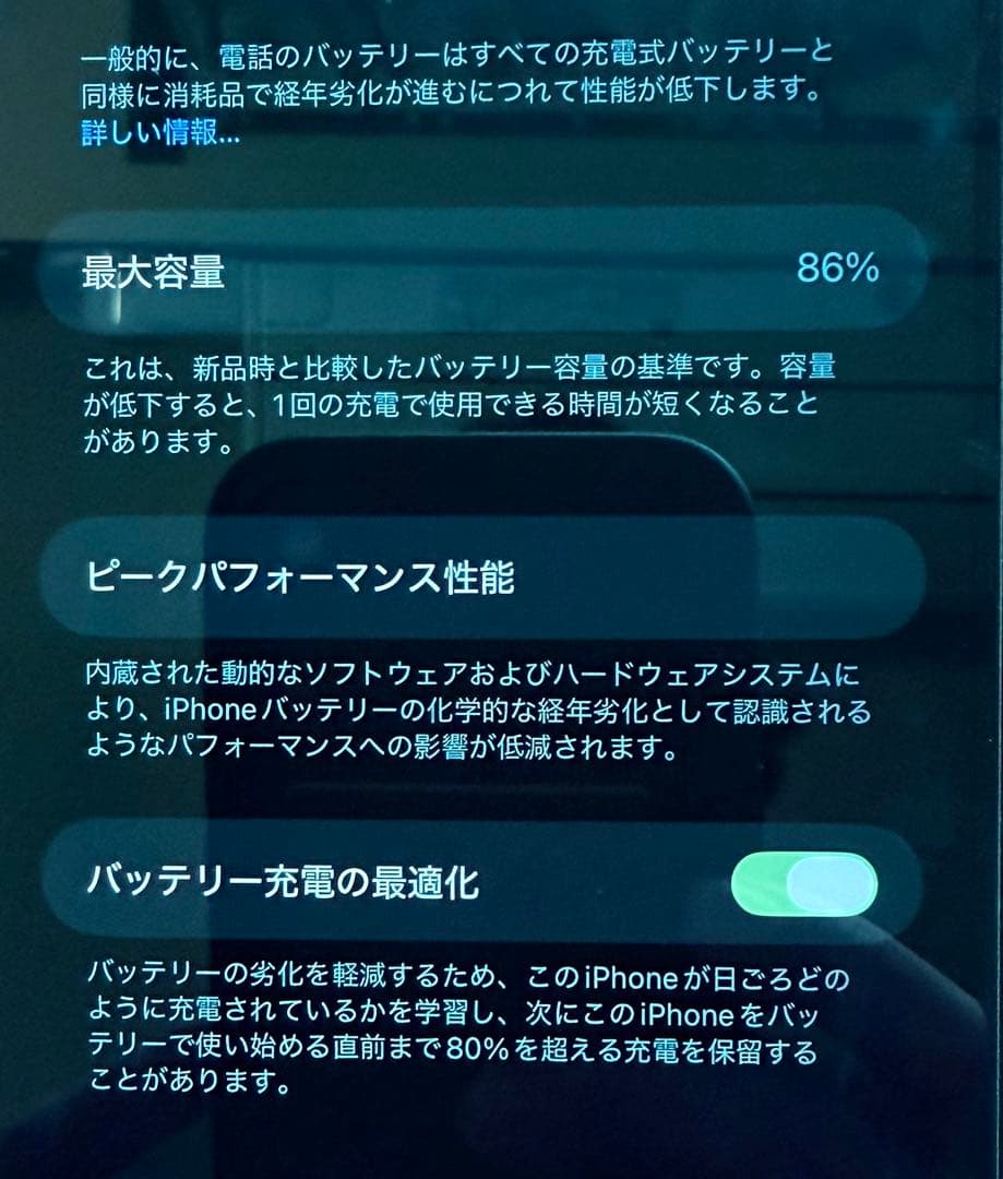 Apple iPhone 13 Pro Max グラファイト SIMフリー