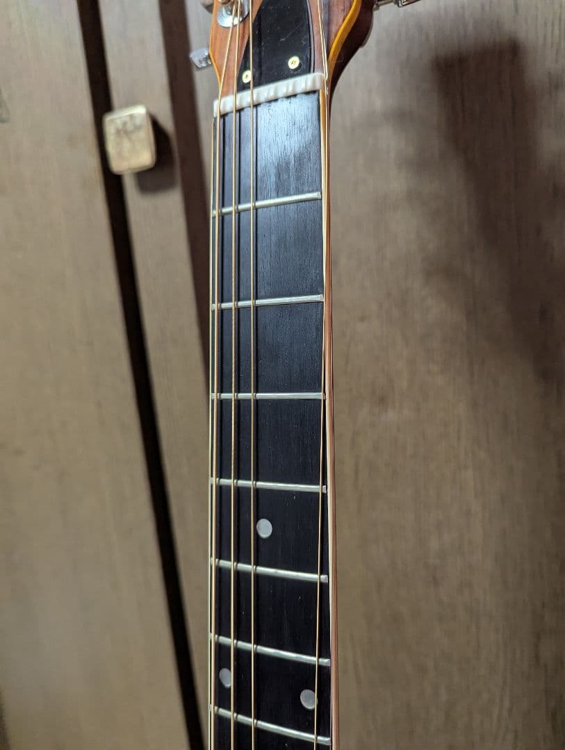 ♪Aria W-350・ハカランダ・トップ単板?♪