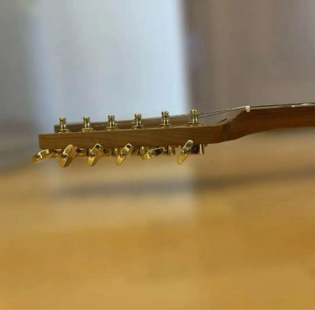 Bacchus universe テレキャスター P90タイプ ゴールドパーツ