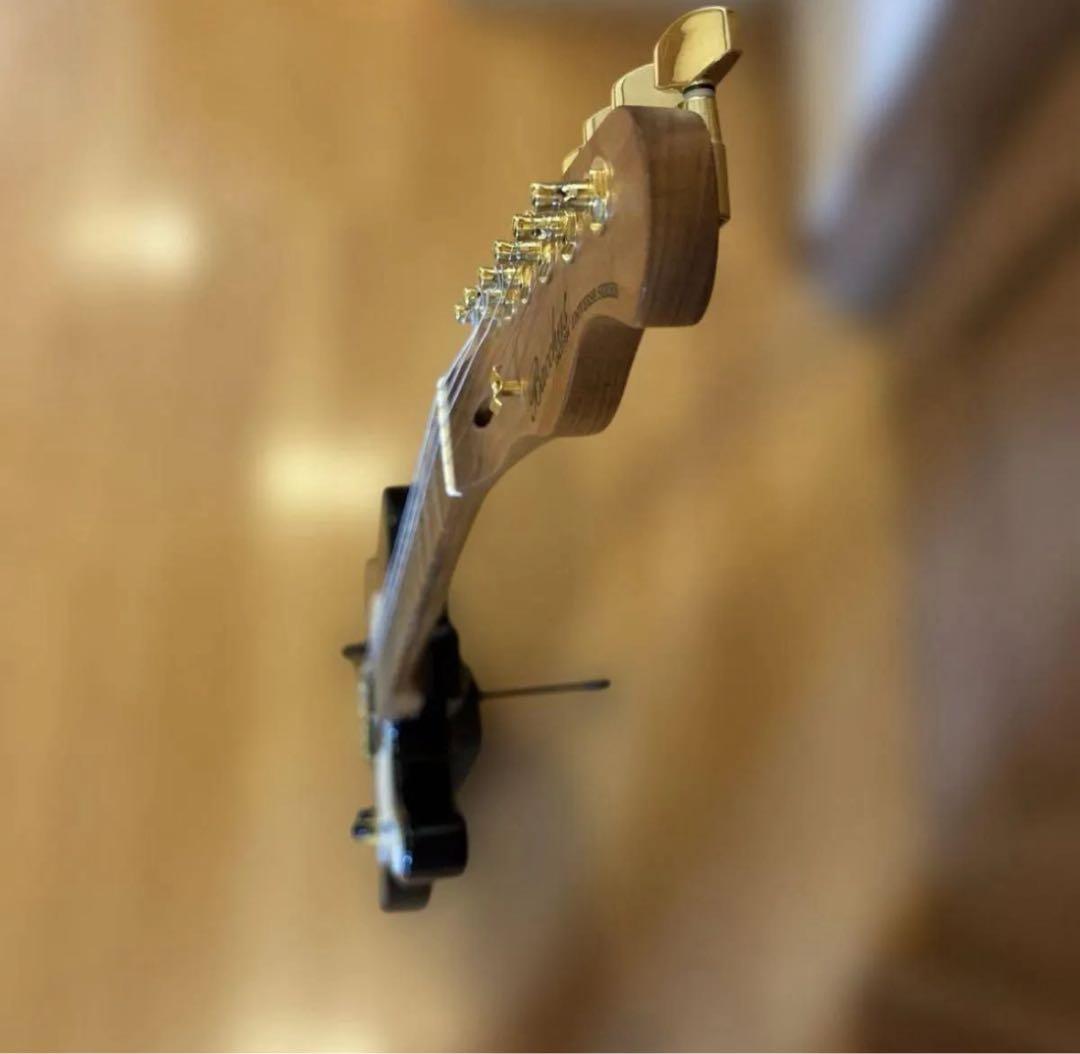 Bacchus universe テレキャスター P90タイプ ゴールドパーツ