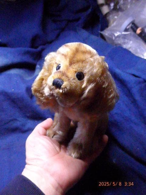 シュタイフのとても貴重な50年代から60年代の犬のぬいぐるみです