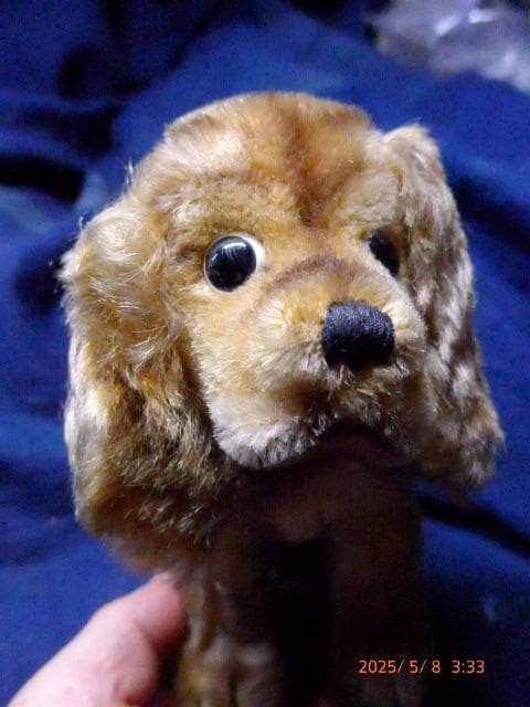 シュタイフのとても貴重な50年代から60年代の犬のぬいぐるみです