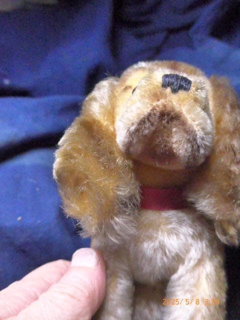 シュタイフのとても貴重な50年代から60年代の犬のぬいぐるみです