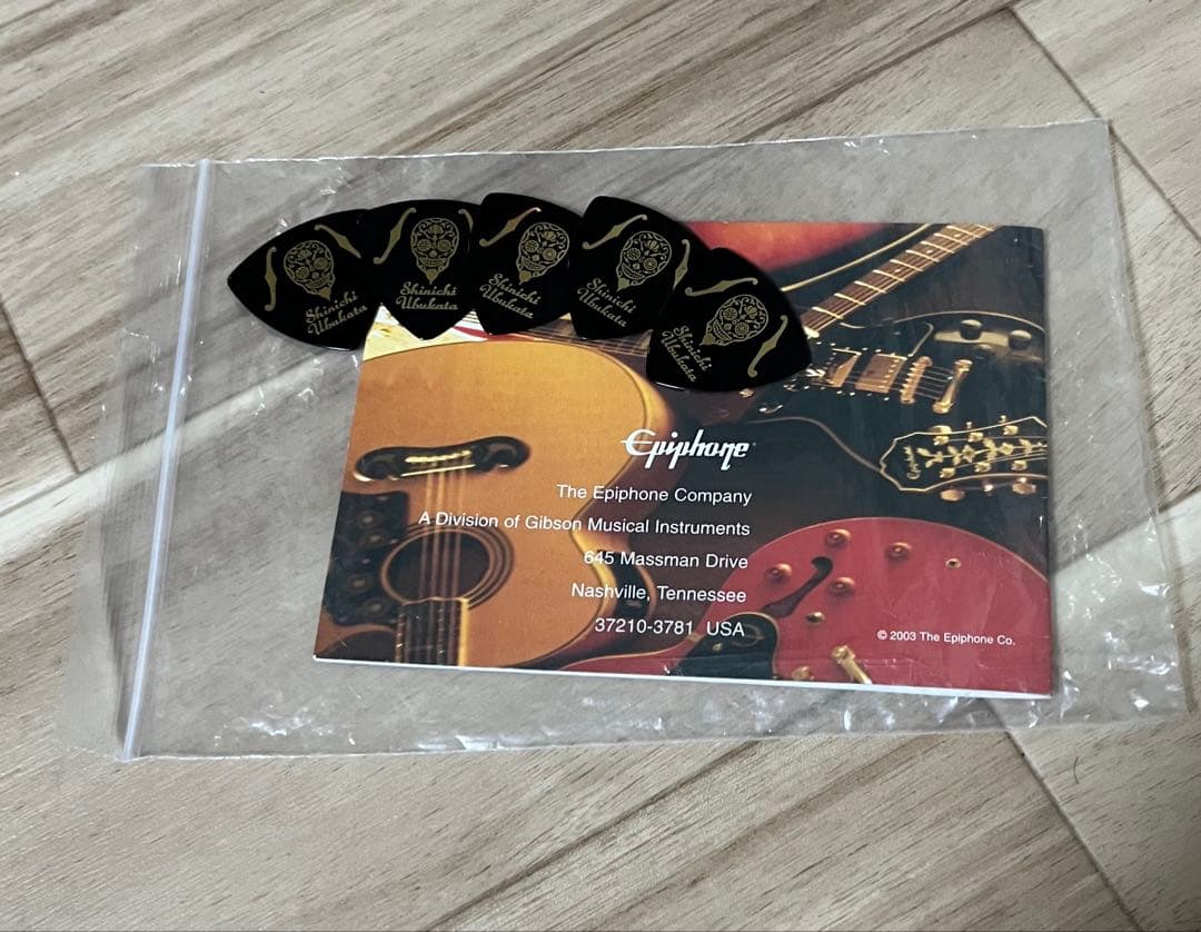 Epiphone Wildkat エピフォン セミアコ