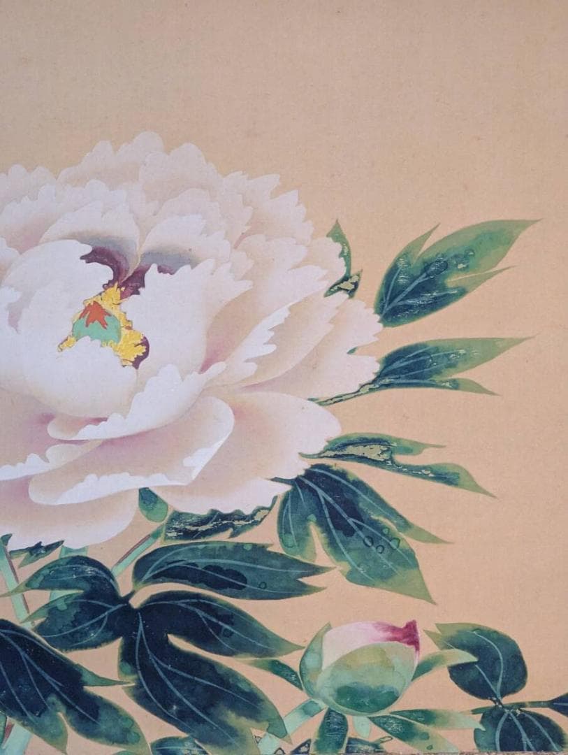 【真作】掛軸　田中針水　牡丹に蝶図　彩色花鳥画　彩色床の間飾り　合箱入　U114