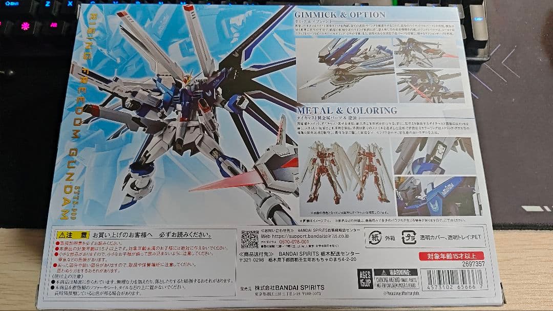 L ROBOT魂 ライジングフリーダムガンダム