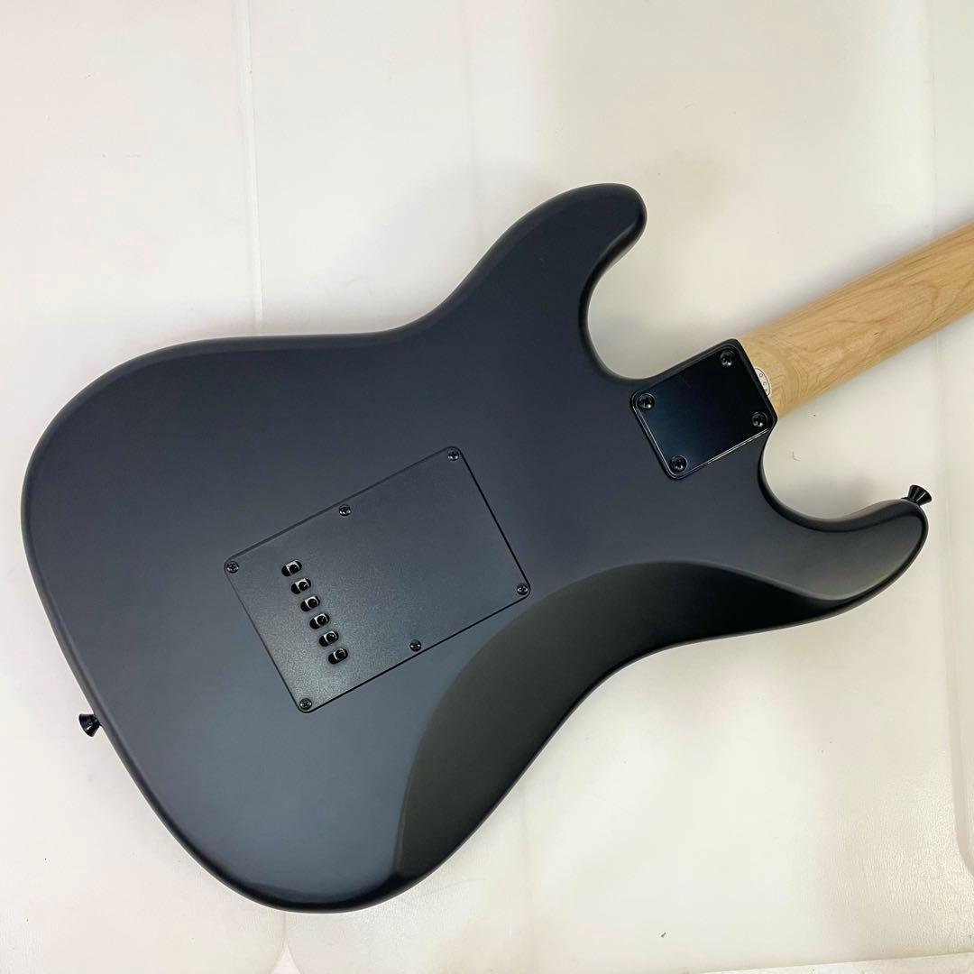 ◎ SELDER セルダー エレキギター ストラトタイプ ブラック