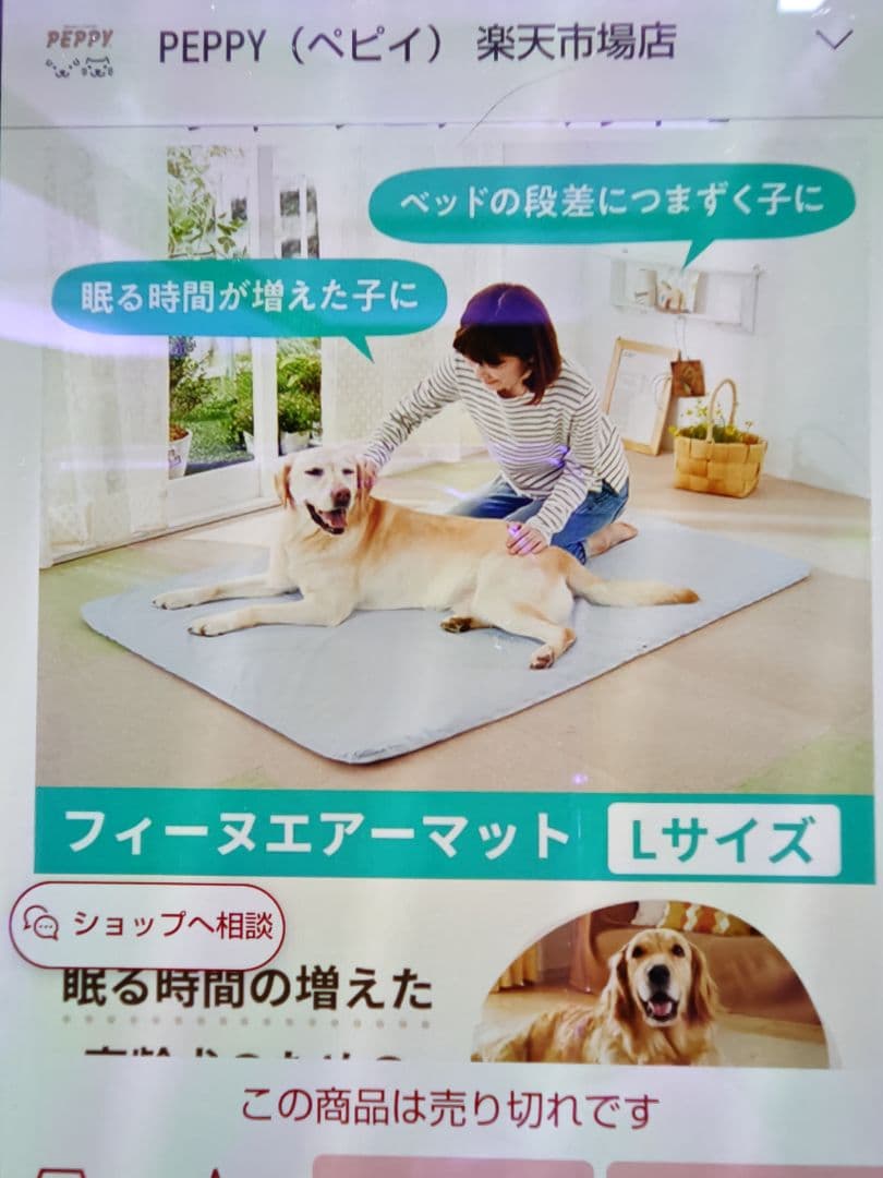 ペピイ　フィーヌエアマット　Lサイズ（シニア犬に快適）