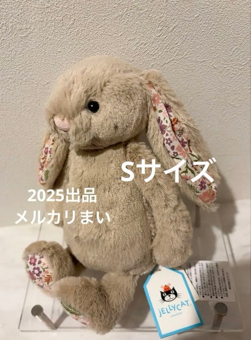 Blossom Beige Bunny 'Petal' （S）