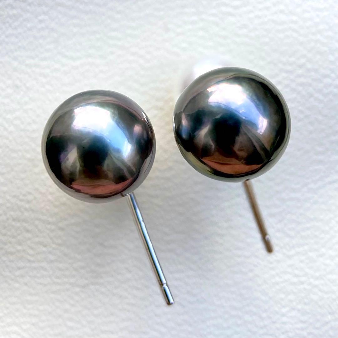 本真珠南洋黒蝶真珠とあこや真珠　双色　双子デザインs925ピアスBL932