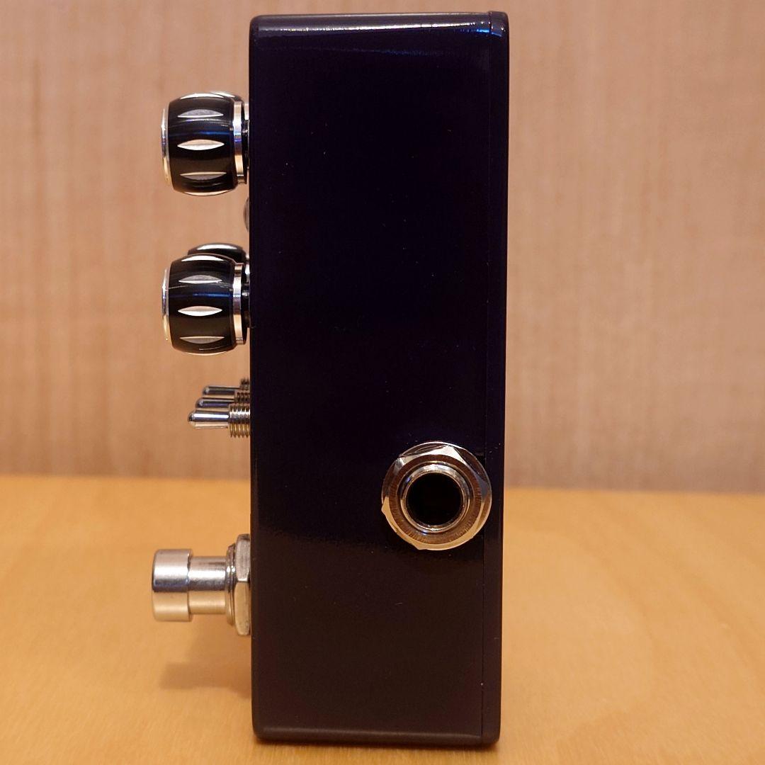 pigtorinix Moon Pool トレモロ フェイザー ピグトロニクス