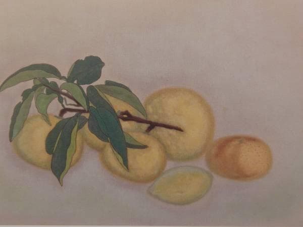 平山 郁夫、果物、希少画集画、新品高級額、額装付、状態良好、油彩 風景