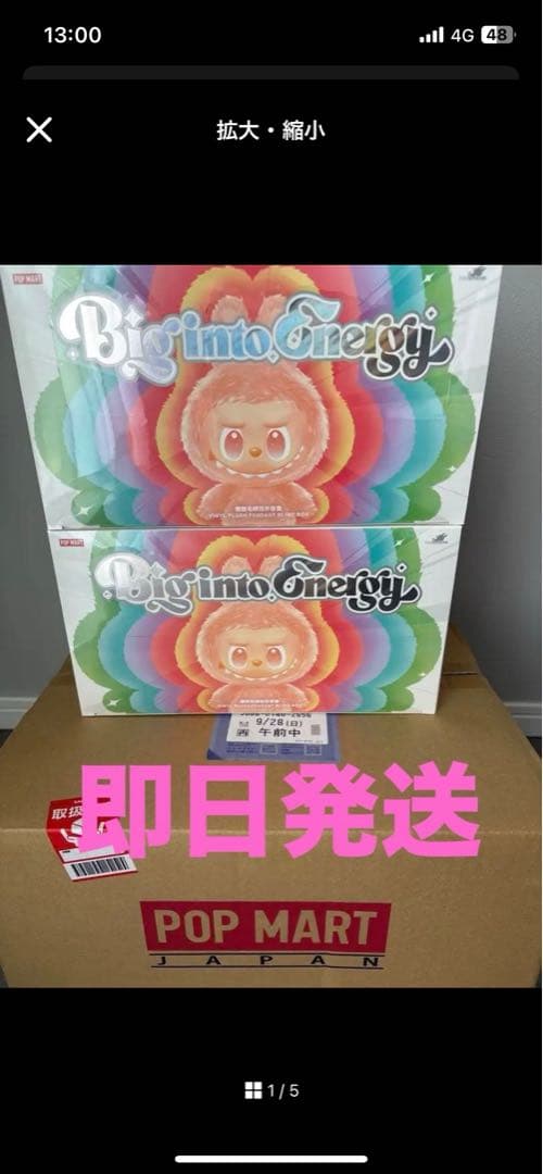 【未開封/正規品】ラブブ Big into Energy アソートボックス