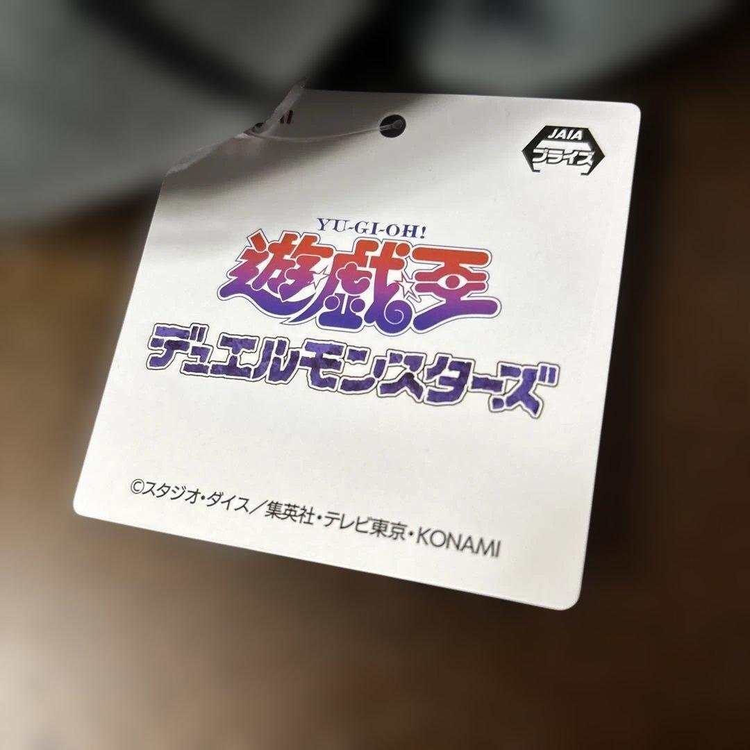 【ske48】遊戯王 デュエルモンスターズ フィギュア12体、ぬいぐるみ