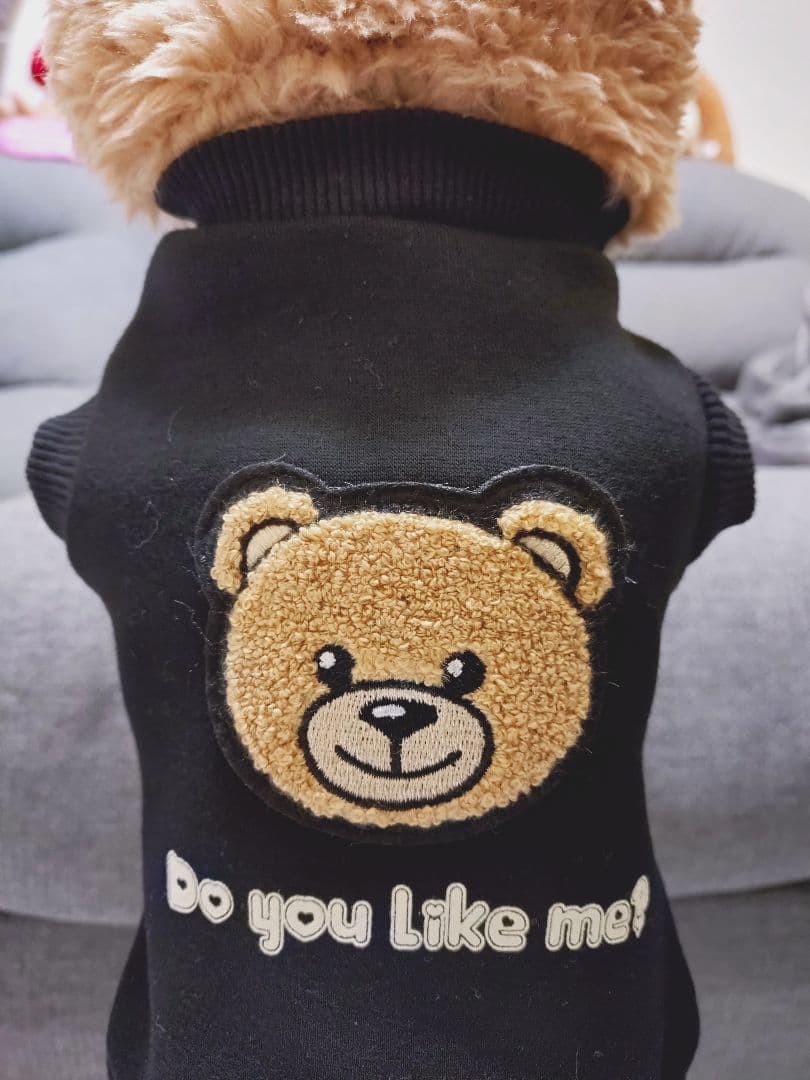 新品 BEAR HOODIE＆SWING PLEATS PTサーカスサーカス