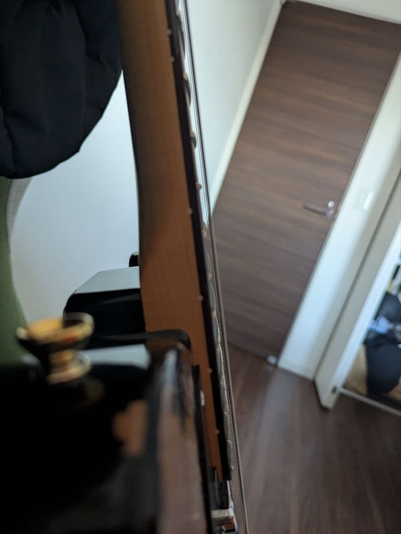 ギター FGN Telecaster neo classic