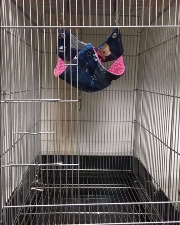 モモンガハウス（ブタ柄）フリースP・ネル生地  春（夏）冬仕様