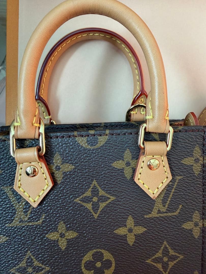 Louis Vuitton プティットサックプラ
