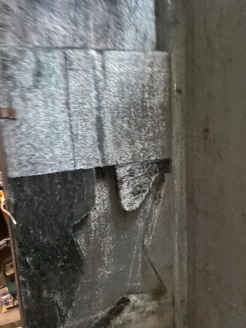 ESP THE CRYING STAR ハードケース