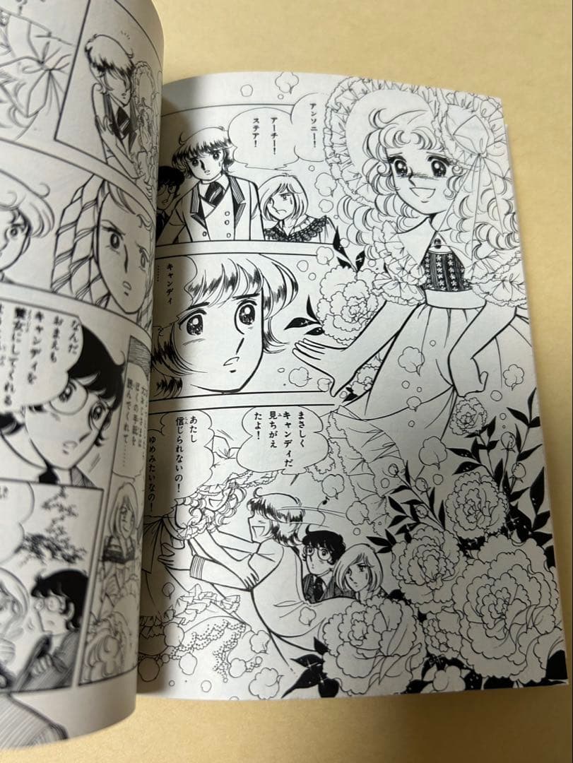 キャンディ♡キャンディ 文庫本 全巻セット