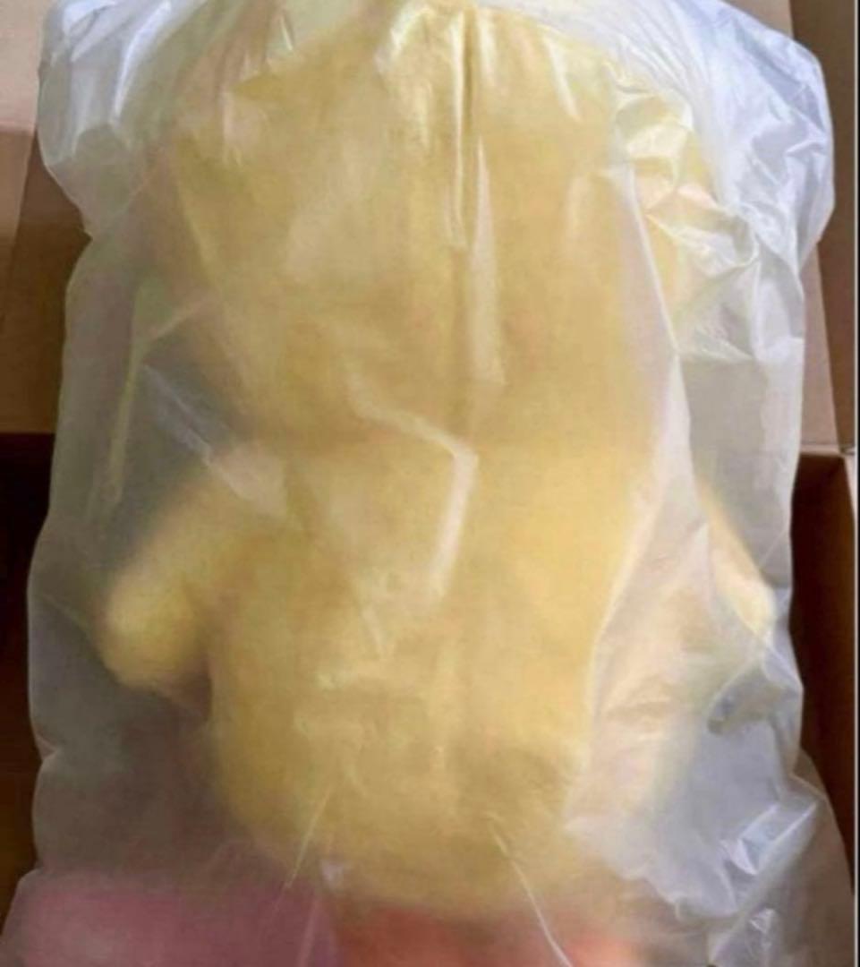 Stray Kids SKZOO PLUSH テディベア Ver.ポガ