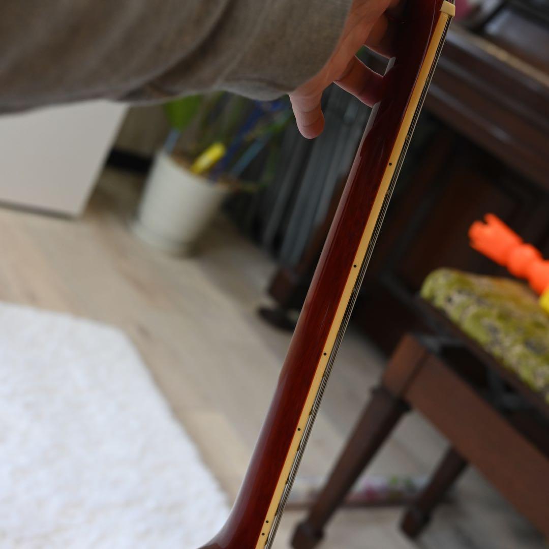 ブリッツ　レスポールスタンダード　アリアプロ2