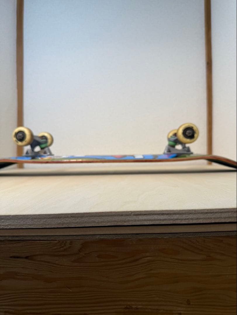 SANTA CRUZ サンタクルーズ　スケートボード　スケボー