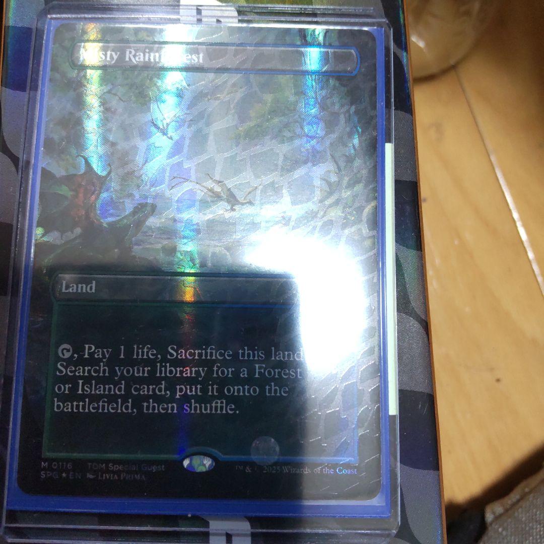 霧深き雨林　ドラゴンスケイルfoil 英