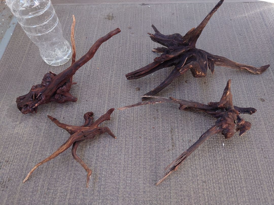 水槽用流木セット