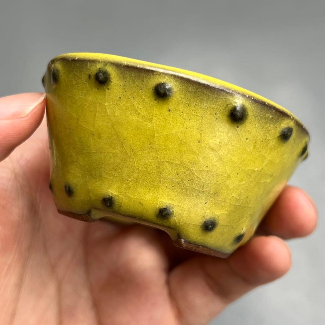 753.暁雲 黄釉鼓釘楕円 盆栽鉢 植木鉢 8*6.7*3.6cm
