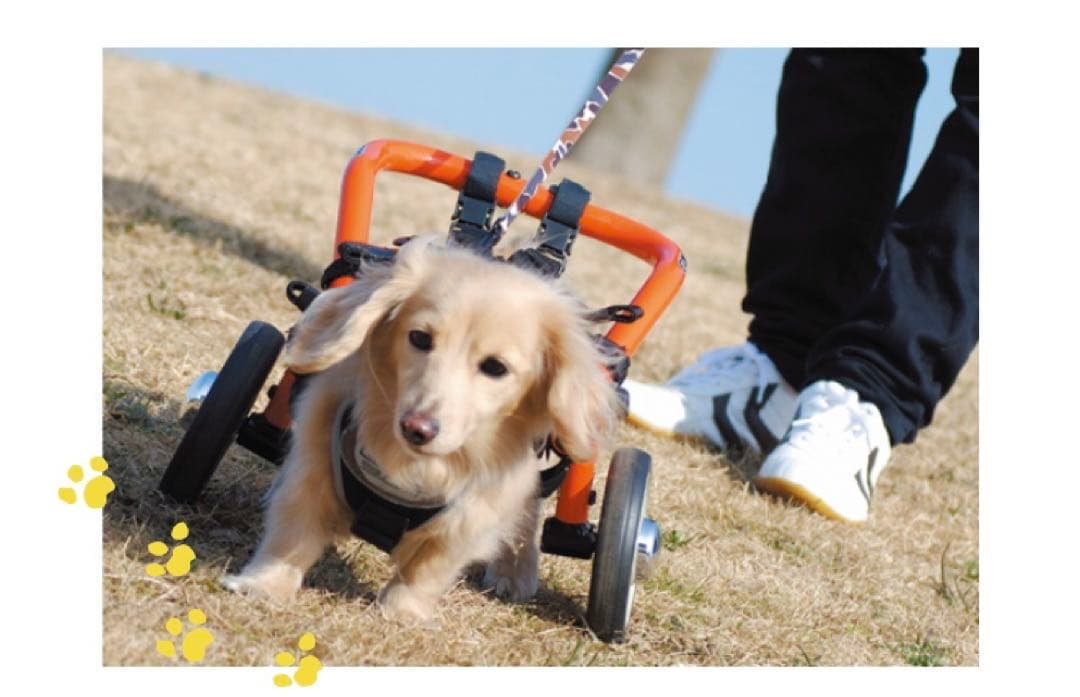 犬用車いす Sサイズ