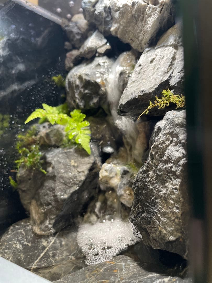 y*u様 【完成品】迫力のある大きな滝のアクアテラリウム