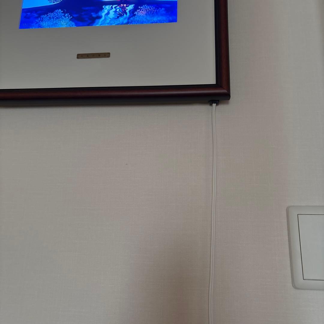 藤城清治　月光の響き