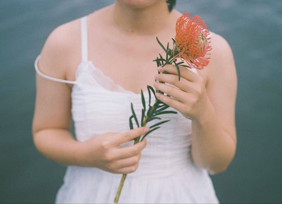 フィルムカメラ Pentax 645 / SMC PENTAX-A 645 75mm F2.8