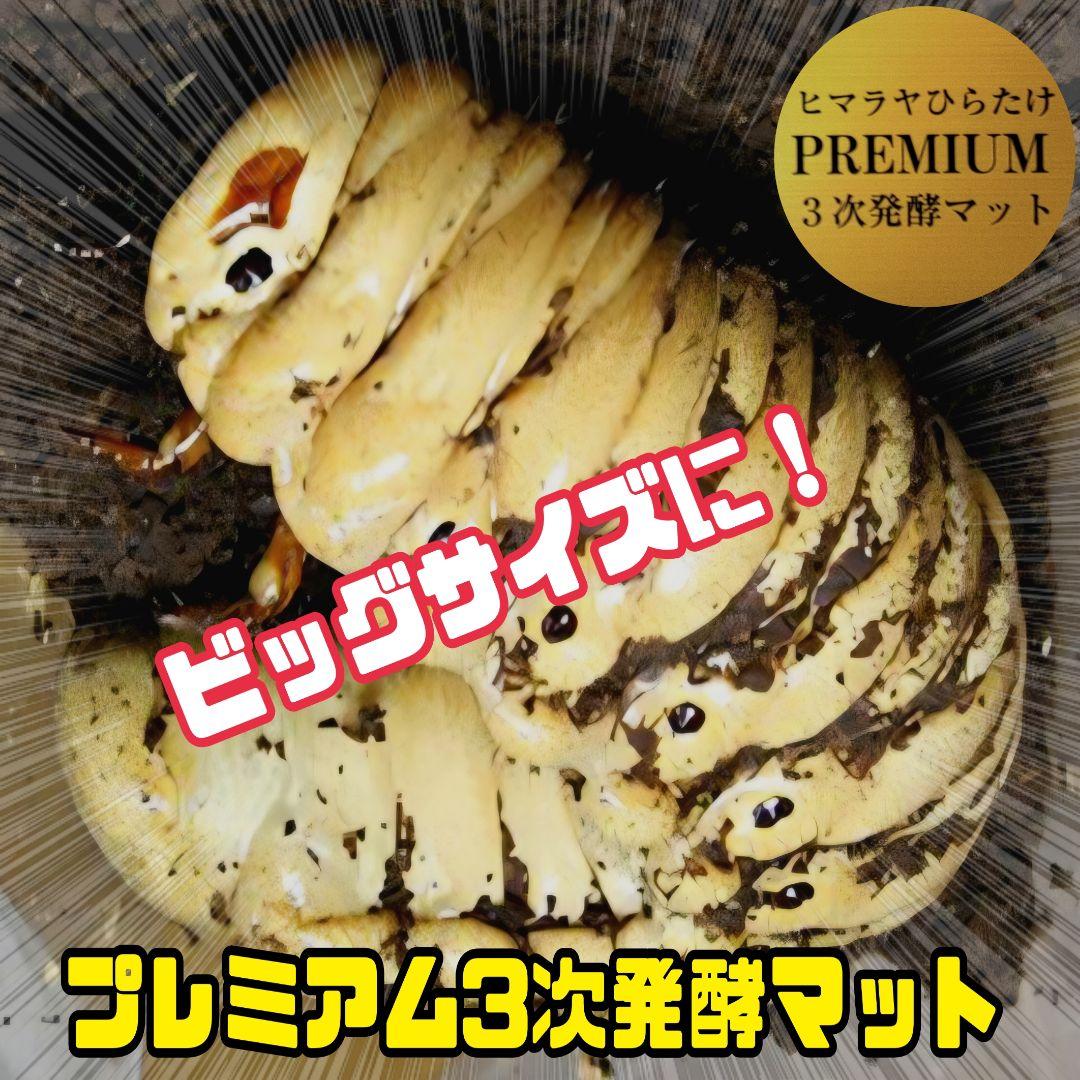 ヘラクレス181ミリ羽化実績！極上！プレミアム3次発酵カブトムシマット　100L