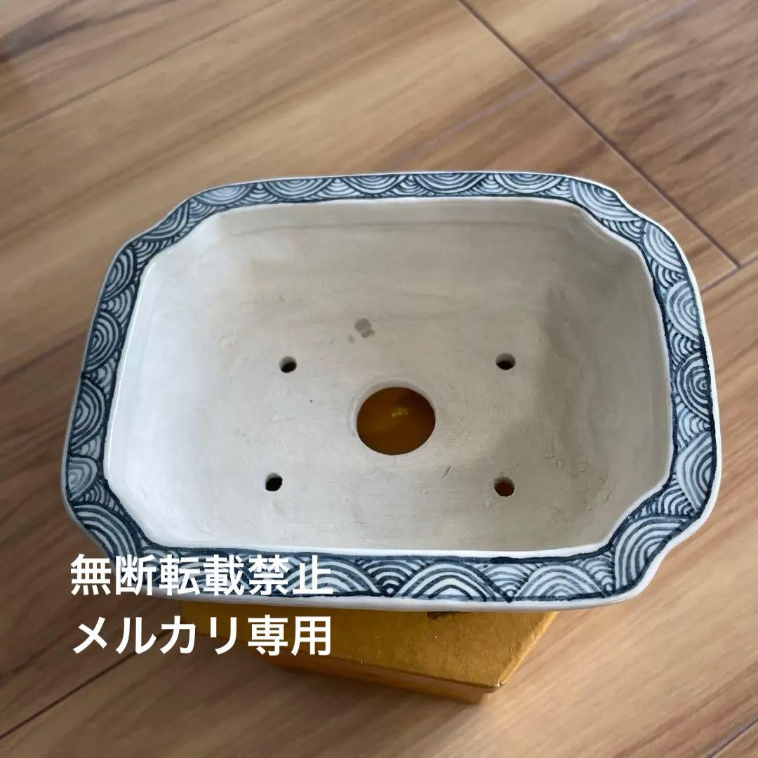 盆栽鉢　桑津香石　絵鉢　大きめ長方形　鳥　松　小品盆栽