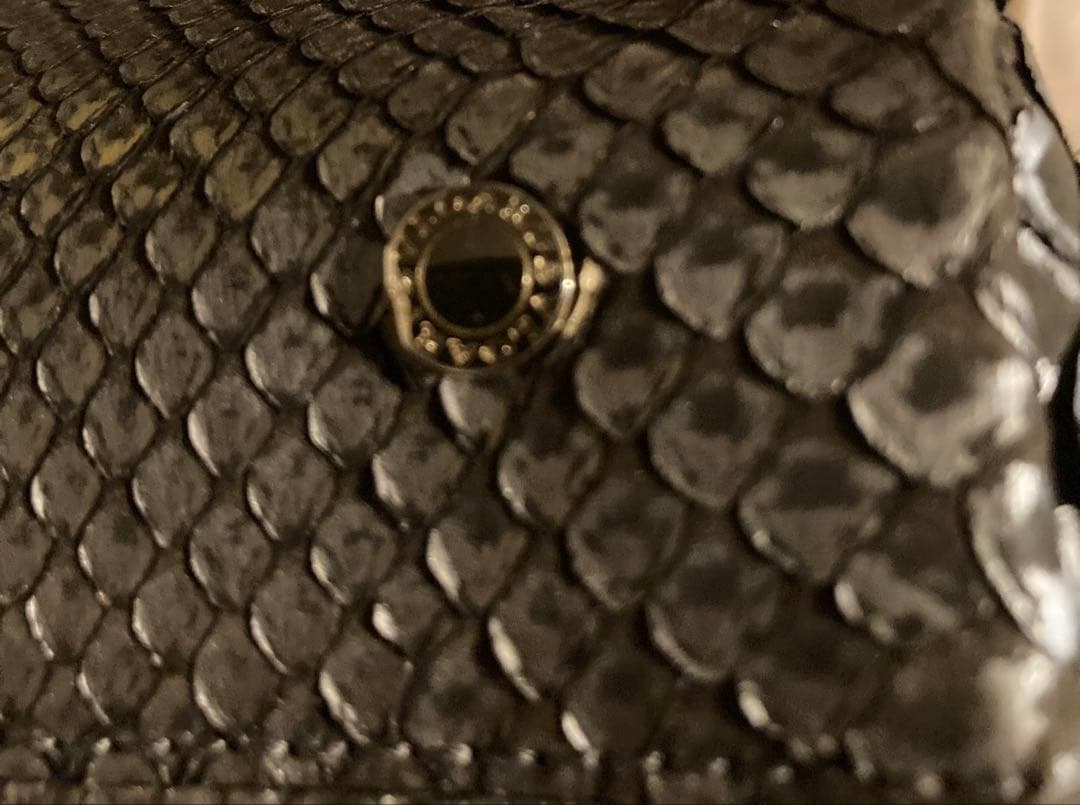 【超美品】ブルガリ パイソン バッグ　ストラップ、シリアルナンバー保存袋付き