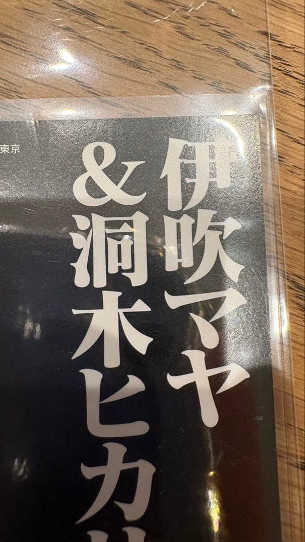 エヴァンゲリオン カードダスマスターズ 伊吹マヤ&洞木ヒカリ 通常箔 抽プレ