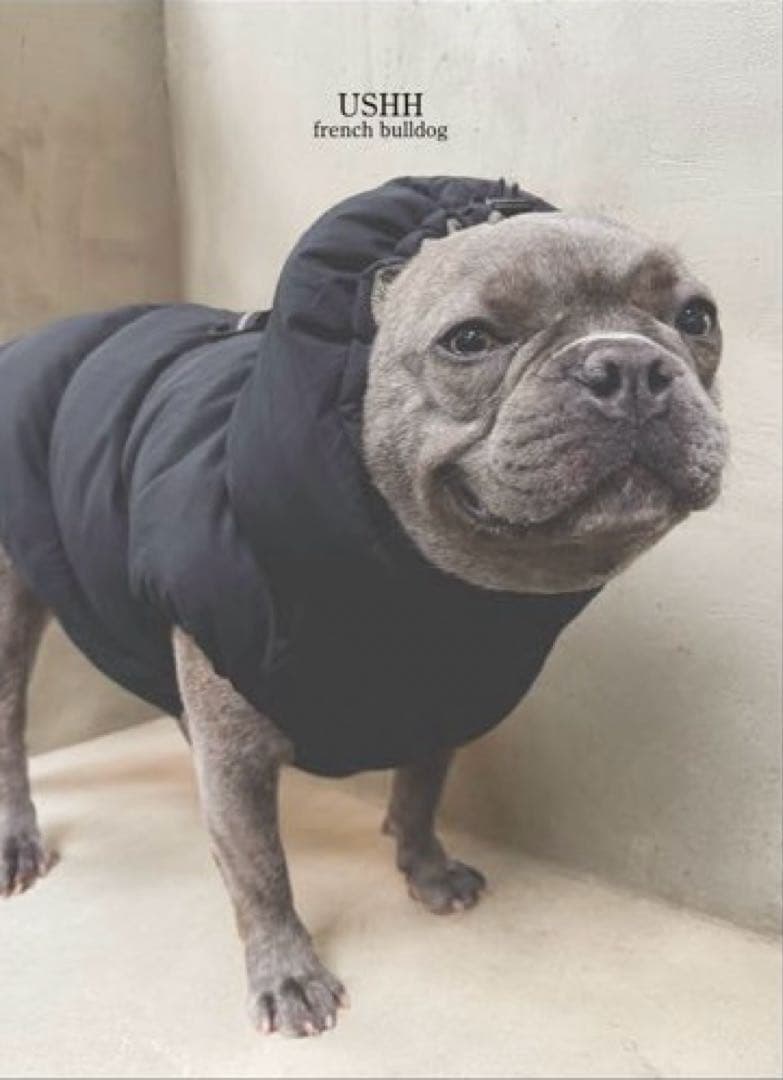 フレンチブルドッグ用 ブラックダウンジャケット USHH