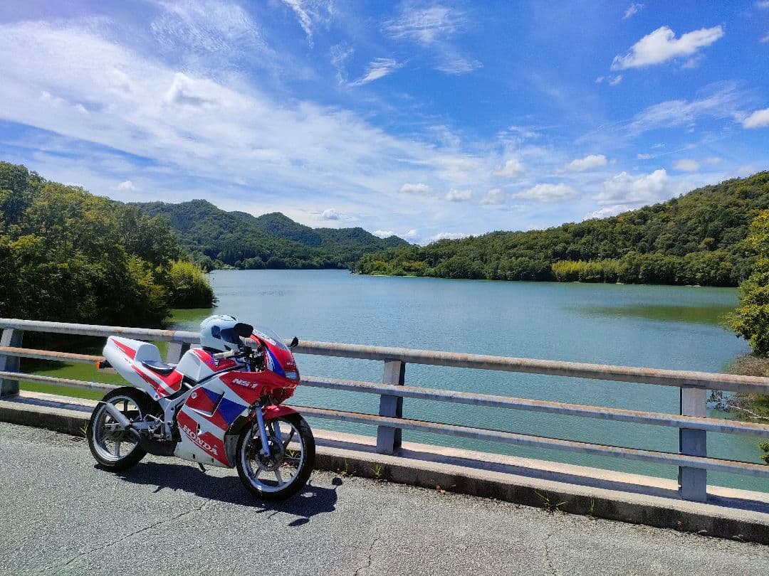 NS-1 　前期　アッパーカウル　純正　美品