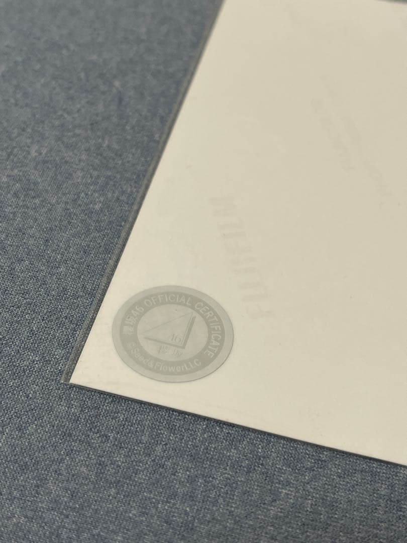 櫻坂46 森田ひかる　クリスマスサンタ衣装　直筆サイン