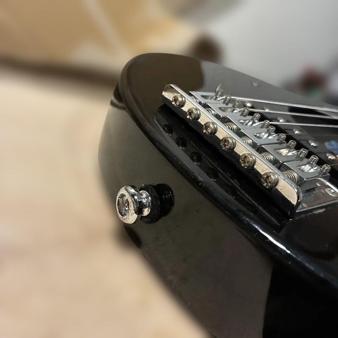 ピグノーズPGG200 黒