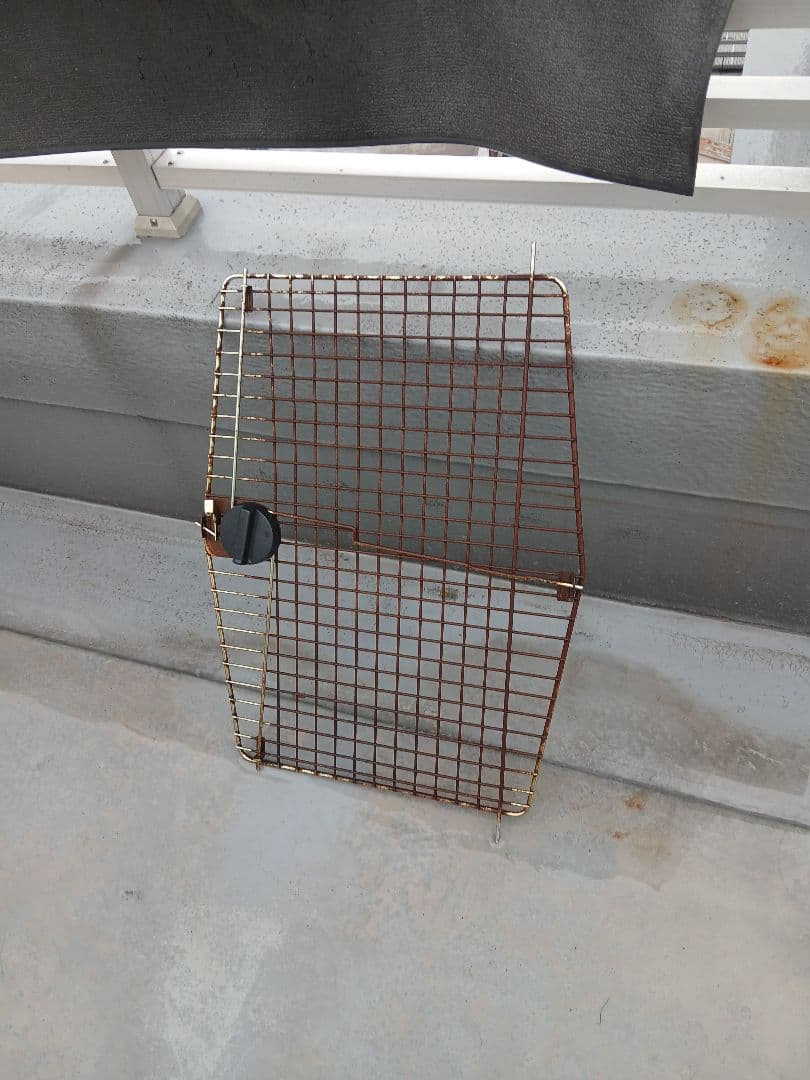 大型犬用プラスチック製犬用ケージ(直接引取可能)