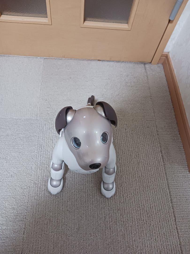 SONY　Aibo 本体　充電ステーション　ソニー　アイボ　ERS-1000