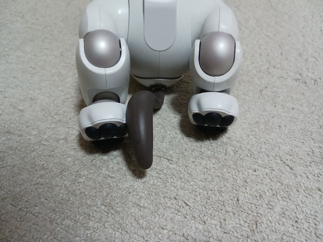 SONY　Aibo 本体　充電ステーション　ソニー　アイボ　ERS-1000