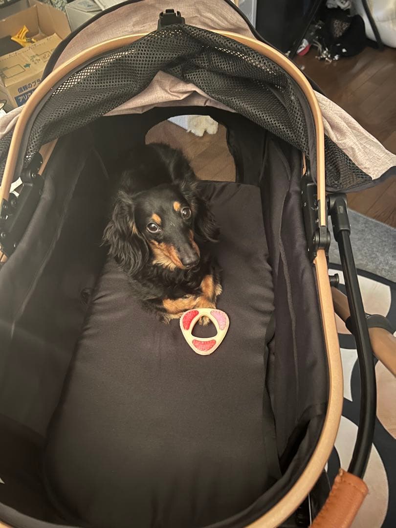 スカッパー 中型犬用ペットカート ブラック/ベージュ