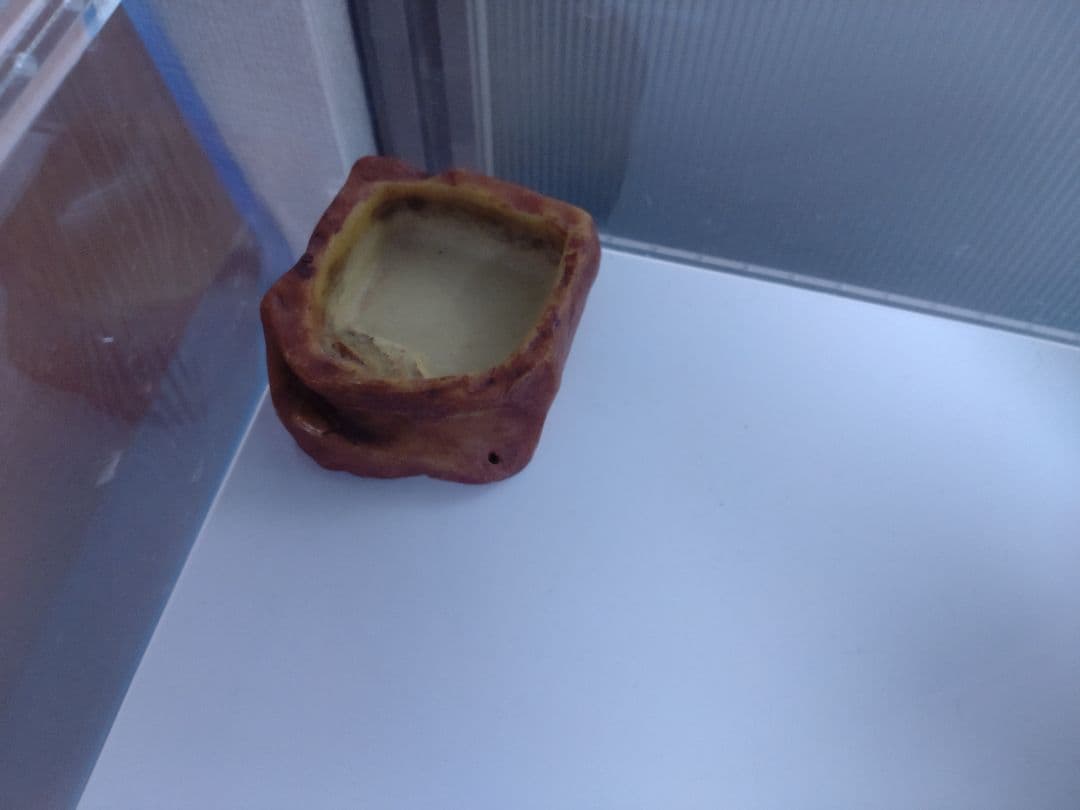 レプタイルボックスワイド 2個セット おまけ付き