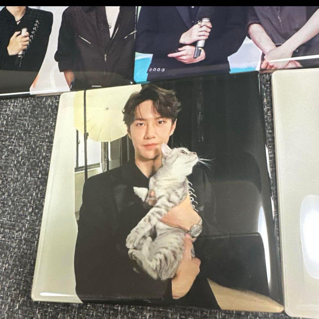 （10月VIP 15%off中） せきせいくうです❣️1001