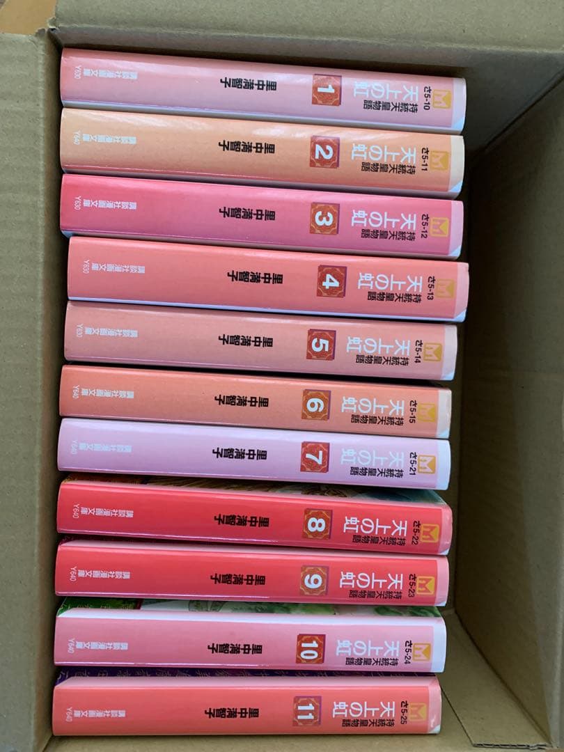 【全巻セット】天上の虹 里中真智子　漫画全巻1-11